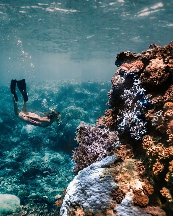 Rạn san hô Great Barrier, một tác phẩm tự nhiên tuyệt vời ngoài khơi xa Queensland 6