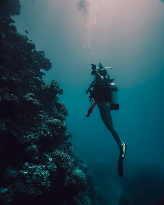 Rạn san hô Great Barrier, một sáng tạo tự nhiên ngoạn mục ngoài khơi xa Queensland 5