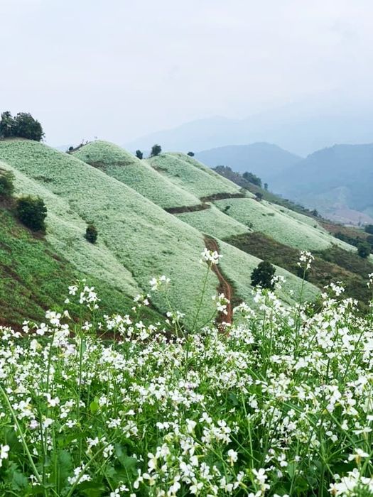 Du lịch lãng mạn cho hai người ở gần Hà Nội