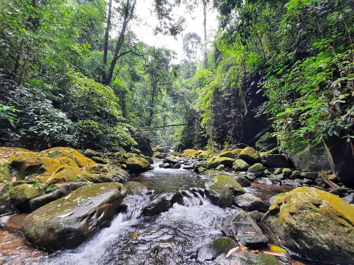 Khám phá suối Cửa Tử và chuyến đi trekking thú vị số 10