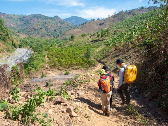 12 Địa điểm trekking đáng trải nghiệm ở Việt Nam