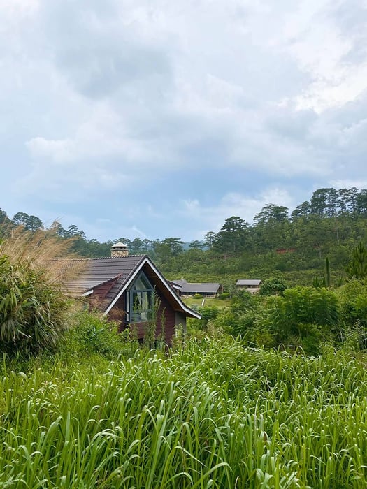 Lat Valley, điểm dừng chân lý tưởng cho những ngày muốn tạm xa xô bồ