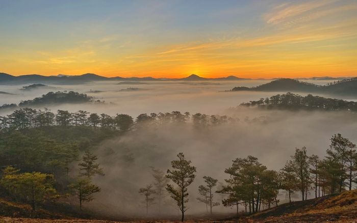 Đồi Mây Đà Lạt, thiên đường bồng lai giữa cuộc sống 3