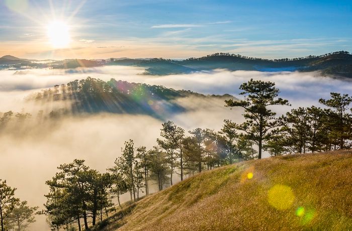 Tháng Mười Một tại Đà Lạt - Thời điểm hoa khoe sắc, tô điểm cho một góc trời