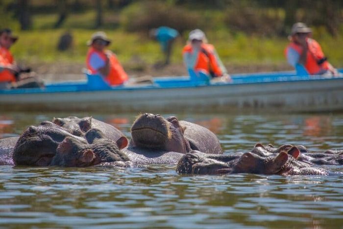 Khám phá vẻ đẹp hoang sơ của Kenya trên lục địa Đen