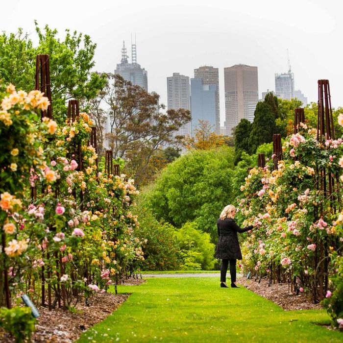 Khám phá Melbourne - Trung tâm văn hóa của Úc 7