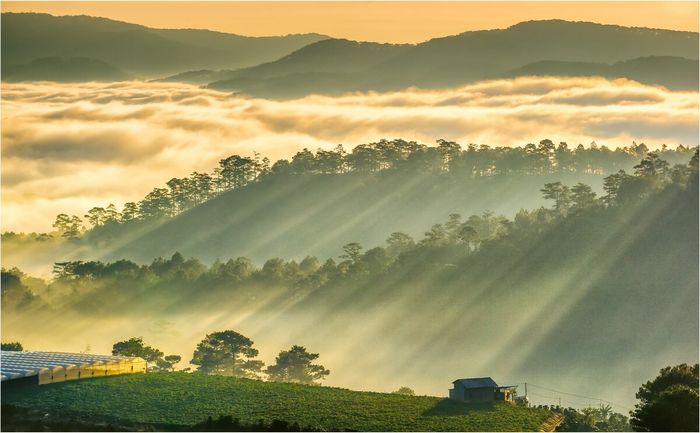 Nông trại ở Đà Lạt – Địa điểm sống ảo vẫn thu hút sự quan tâm không ngừng