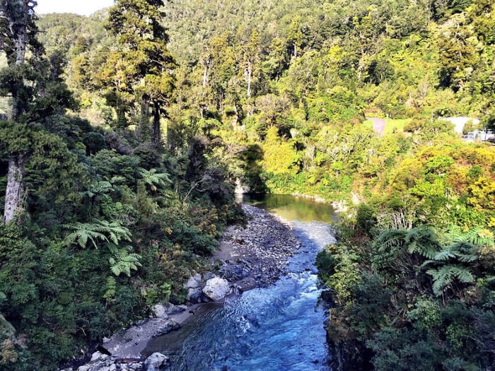 Khám phá thành phố Wellington trong một ngày, trải nghiệm không khí đặc trưng của New Zealand.