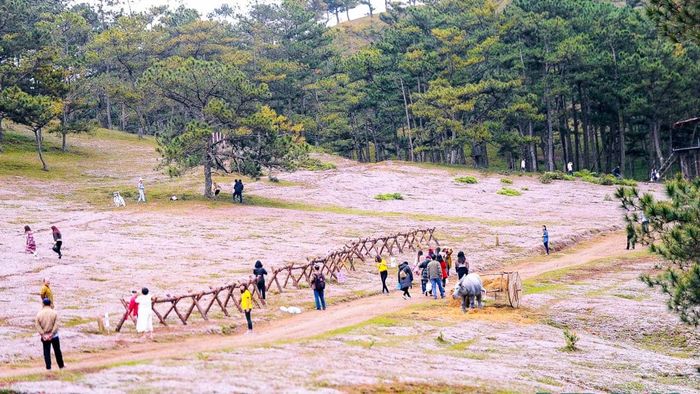 Du lịch Đà Lạt vào tháng Mười Hai sẽ là một trải nghiệm đáng nhớ không thể quên