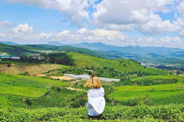 Chuyến du lịch Đà Lạt vào tháng Mười Hai sẽ để lại trong bạn những kỷ niệm khó quên.