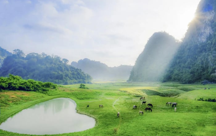 Chinh phục vẻ đẹp tuyệt vời tại thảo nguyên Đồng Lâm thơ mộng 2