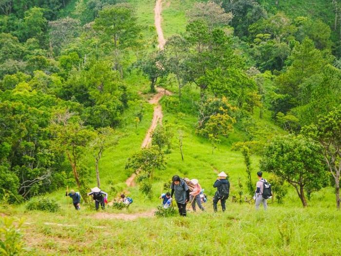 12 Địa điểm trekking cực đáng trải nghiệm của nước ta 11