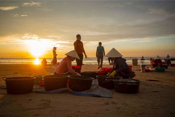 Cửa Hội, cô gái dịu dàng với vẻ đẹp hoang sơ, yên bình