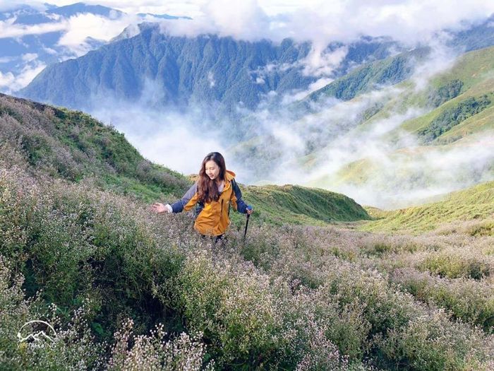 12 Địa điểm trekking đáng trải nghiệm ở Việt Nam