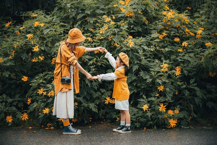 Tháng Mười Một ở Đà Lạt - Thời điểm các loài hoa tranh nhau khoe sắc, tạo ra một khung cảnh rực rỡ trong không gian xanh 5