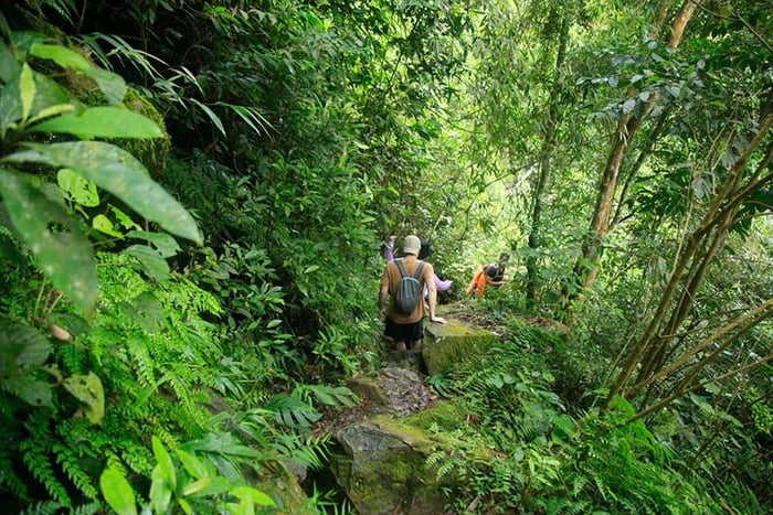 Khám phá suối Cửa Tử và trải nghiệm hành trình trekking thú vị 4