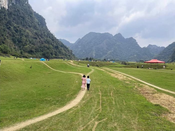 Săn ảnh đẹp chất ngất tại thảo nguyên Đồng Lâm thơ mộng 9