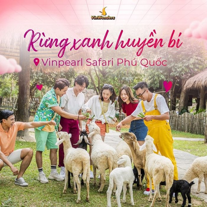 Những lời chúc sinh nhật người yêu