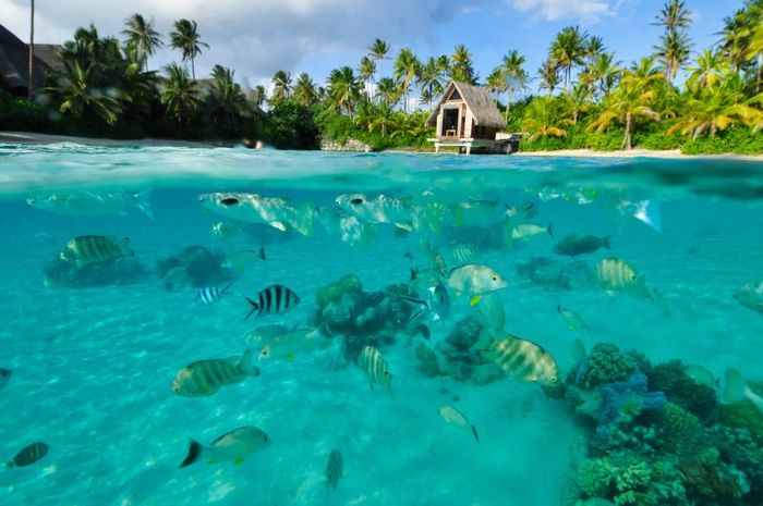 Bora Bora, viên ngọc quý ngoài khơi xa Nam Thái Bình Dương 8