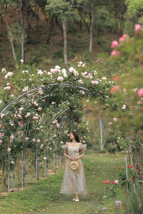 Trải nghiệm Cao Nguyên Hoa Đà Lạt, hòa mình vào miền đất mơ mộng 5