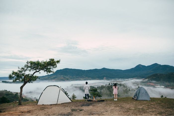 Tất cả thông tin bạn cần biết về việc cắm trại ở Đà Lạt cho những người đam mê khám phá