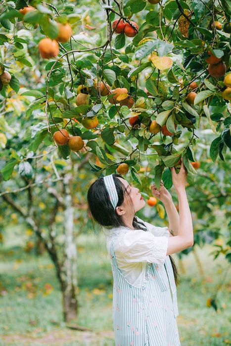 Tháng Mười Một ở Đà Lạt - Thời điểm mà các loài hoa cạnh tranh khoe sắc, tạo nên một khung cảnh rực rỡ trong không gian 7