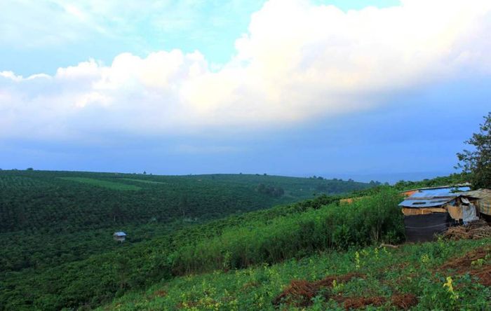 Cao nguyên Di Linh - Một cái nhìn thoáng qua về vẻ đẹp hoang sơ, quyến rũ