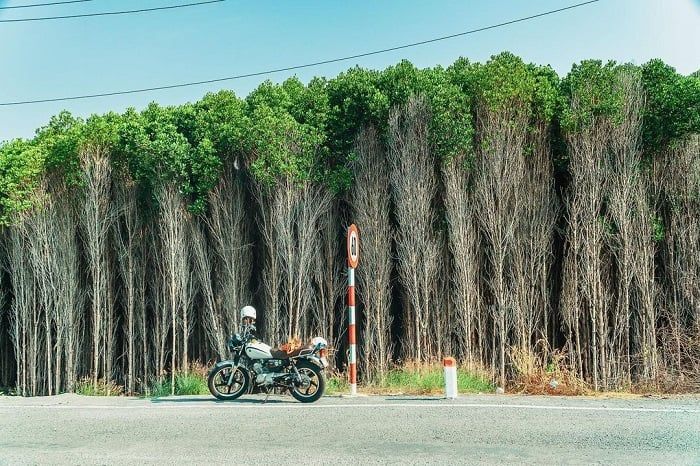 đảo Thạnh An