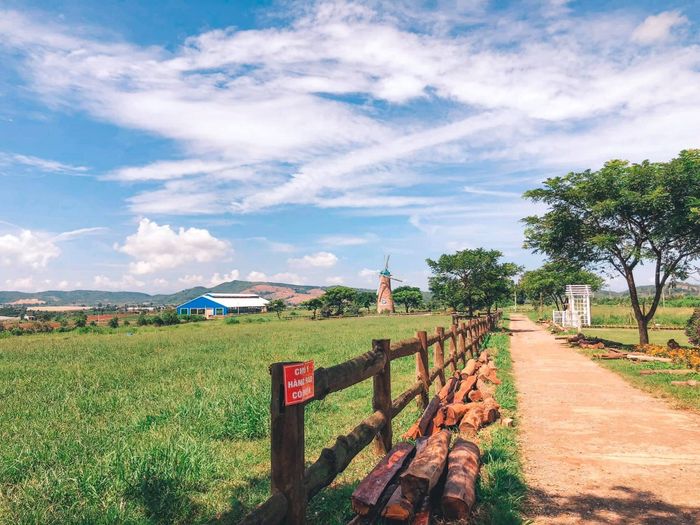 Khám phá nông trại đạt chuẩn châu Âu Vinamilk Organic Milk Farm 2