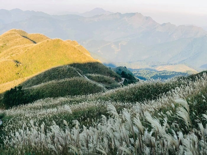 Du lịch Tết tại Quảng Ninh