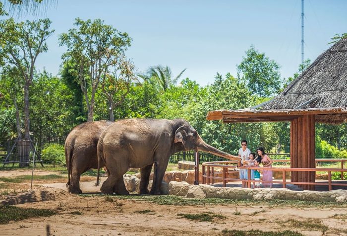 Bát cháo gà ngon của thủ đô Hà Nội