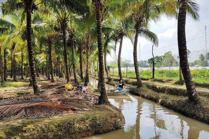 Hãy tự tin khám phá vườn cò Bằng Lăng với kinh nghiệm thú vị này!