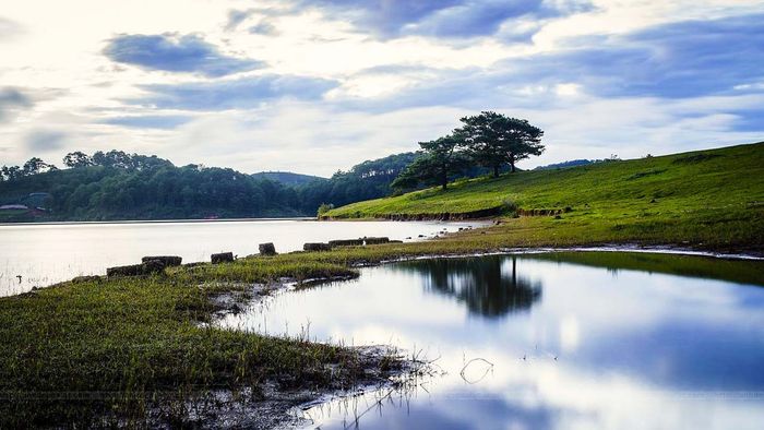 Thung lũng Vàng - nơi lãng mạn trên cao nguyên Lâm Viên 7