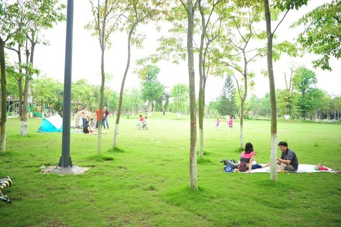 Trải nghiệm Leo Núi Trong Nhà ở Hà Nội