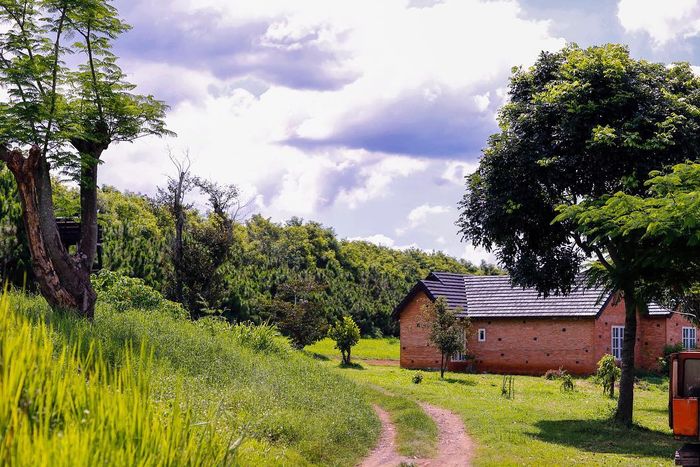 Dalat Milk Farm - Nông trại bò sữa nổi tiếng với phong cảnh thiên nhiên đẹp như tranh