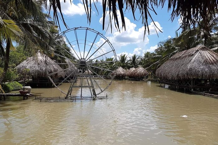 Ghi lại ngay kinh nghiệm du lịch Cần Thơ với chi phí phải chăng từ cộng đồng dân địa phương 8