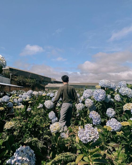 Hãy đến với nhóm của Sunny Farm Đà Lạt để có những khoảnh khắc vui vẻ!