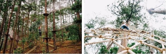 Thách thức bản thân tại Datanla High Rope Course với trò đu dây zipline thú vị số 9