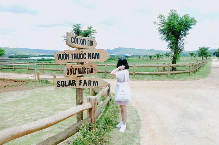 Khám phá trang trại đạt chuẩn châu Âu Vinamilk Organic Milk Farm 12