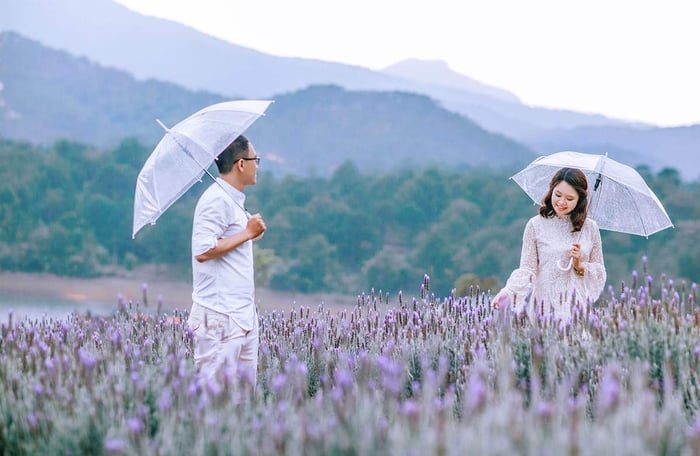 Bước vào cảnh đẹp tuyệt vời của khu du lịch Lavender Đà Lạt