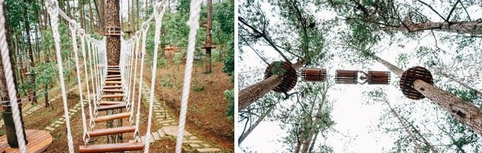 Thách thức bản thân với trò đu dây zipline thú vị số 6 tại Datanla High Rope Course