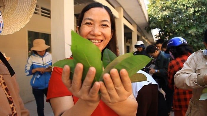 Chợ lá Tây Ninh