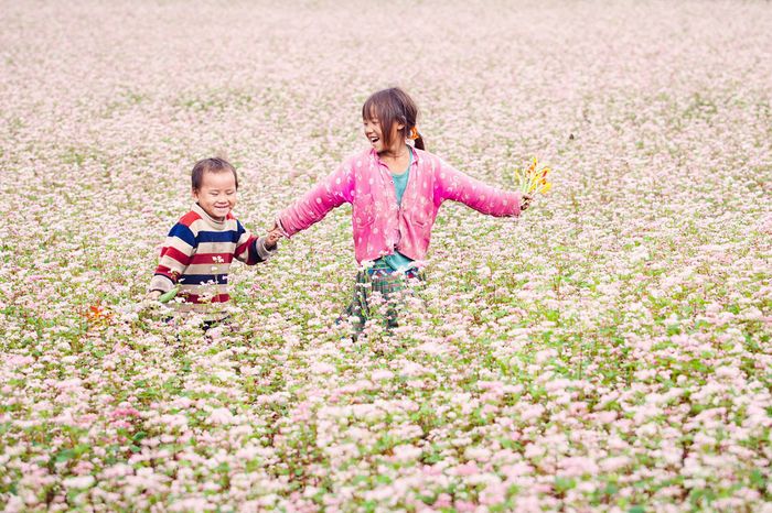 Thưởng ngoạn vẻ đẹp của vườn hoa tam giác mạch Tà Nung - Khám phá cánh đồng hoa tươi sáng tại Đà Lạt 6