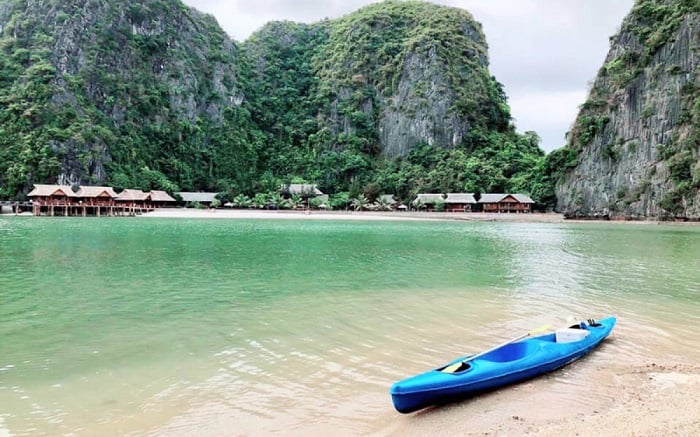 check in Hải Phòng