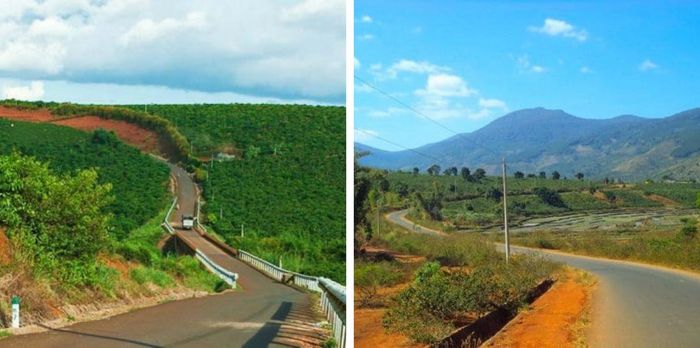 Cao nguyên Di Linh - Một cái nhìn thoáng qua về vẻ đẹp hoang sơ, quyến rũ