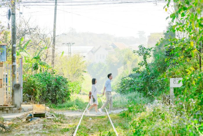 Đường tàu Trần Quý Cáp - Nơi thưởng ngoạn vẻ đẹp của hoa anh đào giữa bầu trời Đà Lạt, ngập tràn cảm xúc ngôn tình.