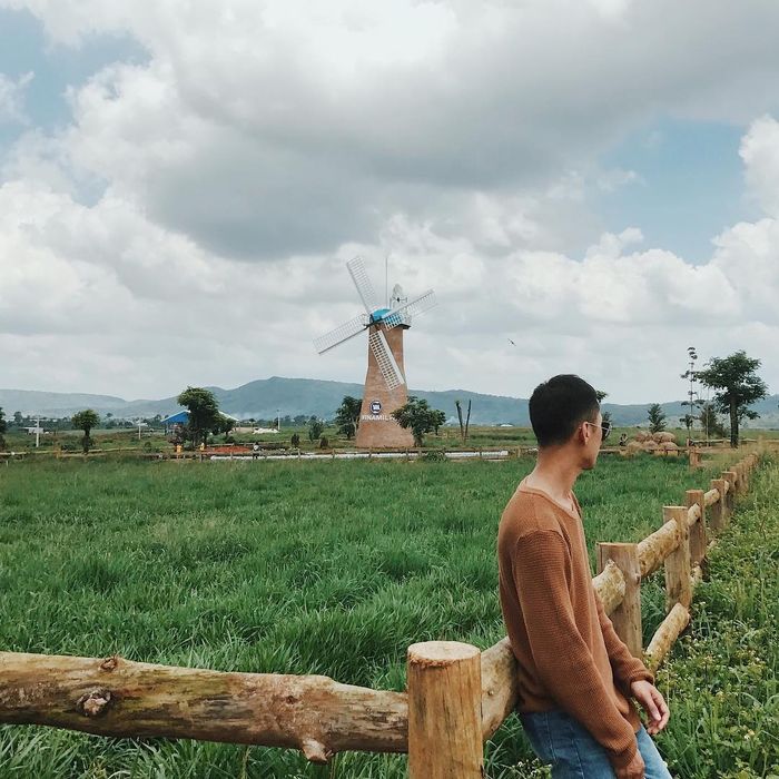 Dalat Milk Farm - Nông trại bò sữa nổi tiếng với phong cảnh thiên nhiên đẹp như trong tranh