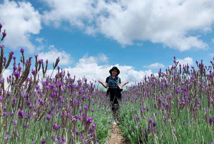 Bước vào cảnh đẹp tuyệt vời của khu du lịch Lavender Đà Lạt