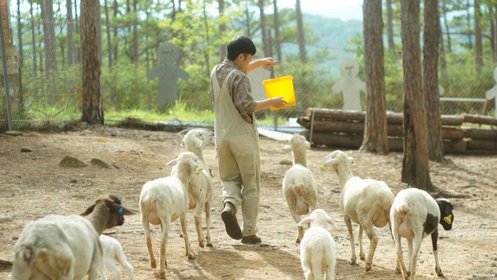 Khám phá Khu vườn thú Zoodoo ở Đà Lạt – Một không gian thân thiện với phong cách Úc đầy thú vị 5