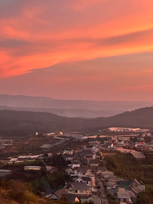 Thung Lũng Khói Xanh cho phép ngắm toàn cảnh thành phố Đà Lạt từ trên cao 7